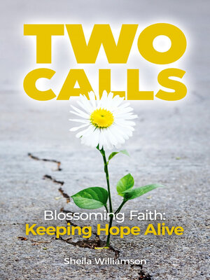 cover image of Two Calls